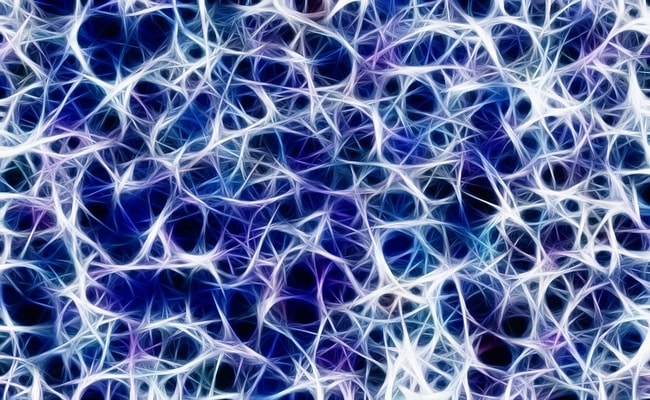 image of human nerves brain online learning