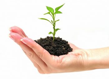 <img alt="Small Business LMS plant growing hand"src="https://topyx.com/wp-content/uploads/2015/08/Small-Business-LMS.jpg"/>
