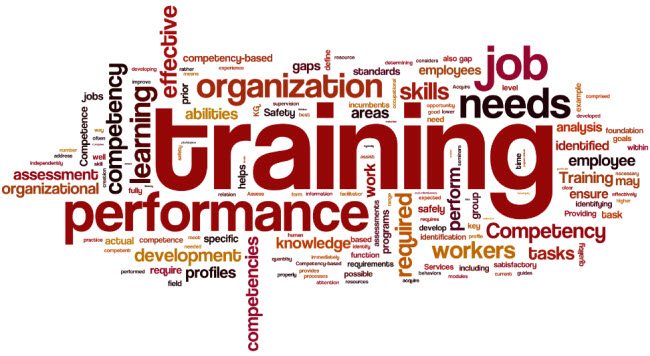 <img alt="LMS competency based employee training"src="https://topyx.com/wp-content/uploads/2016/11/image.jpg"/>