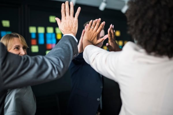 LMS for high-potential employees